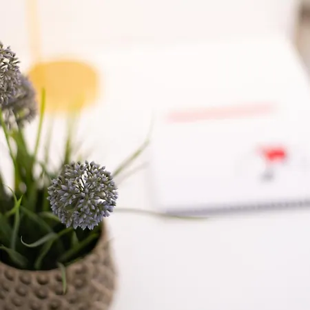 Sant'anna By Curtiaffitti *