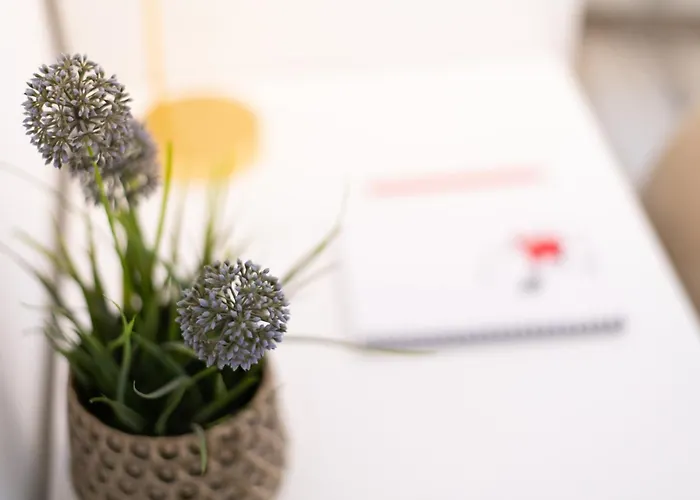 Sant'anna By Curtiaffitti *